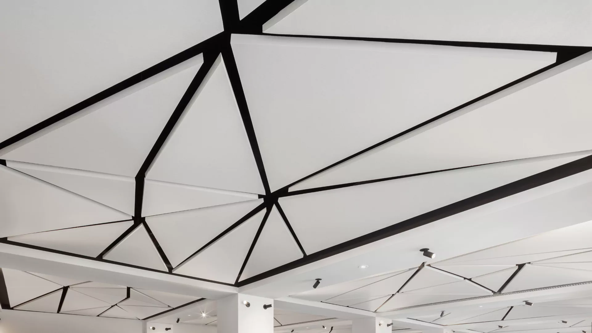 Free-form acoustic ceiling canopy Acoustic ceiling canopy